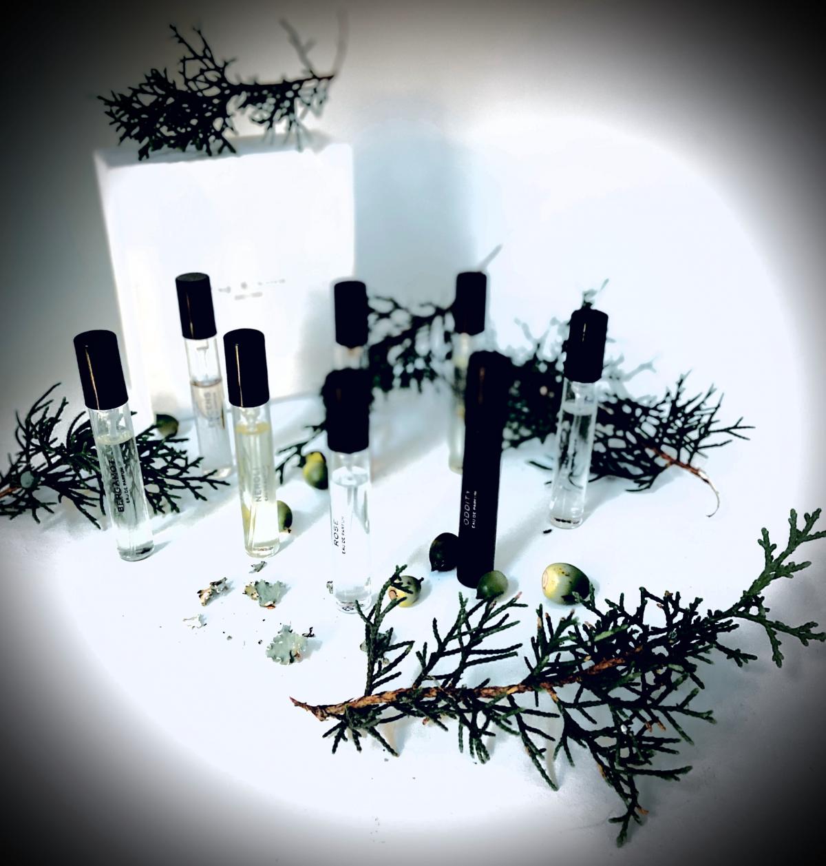 عطر ادکلن آدیتی رگ اند بون - Oddity Rag & Bone - بررسی، قیمت و خرید