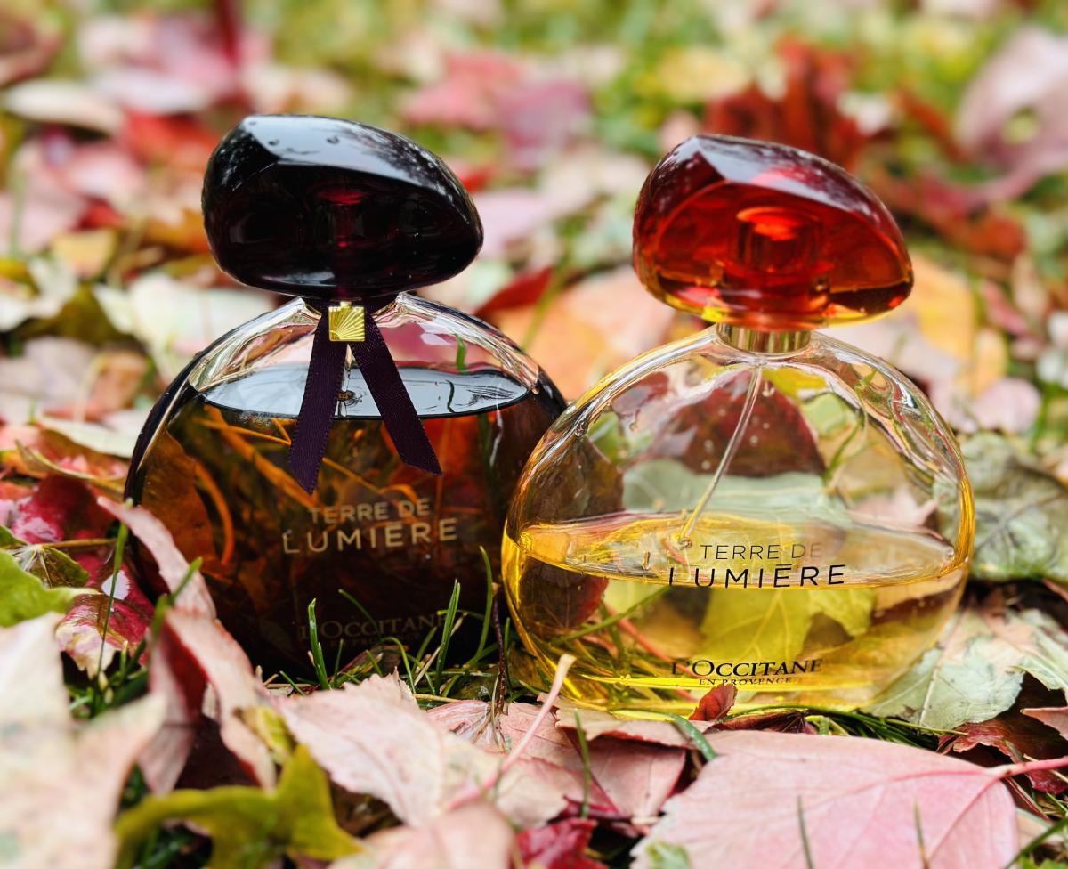 عطر ادکلن تغ دو لومیننس اینتنس لوکسیتان - Terre de Lumière Intense L'Occitane en Provence - بررسی، قیمت و خرید
