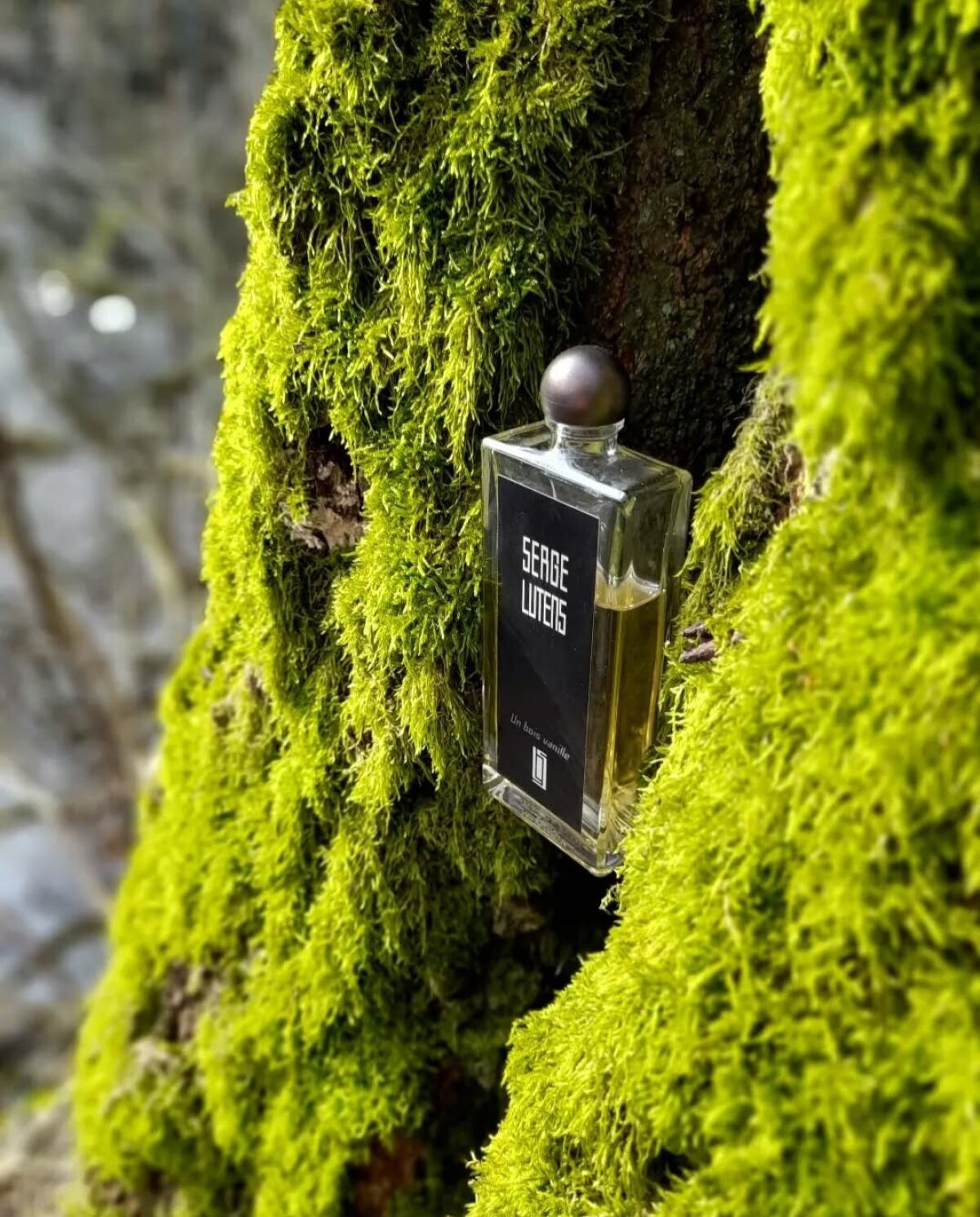 عطر ادکلن اون بوا وانی سرج لوتنس - Un Bois Vanille Serge Lutens - بررسی، قیمت و خرید