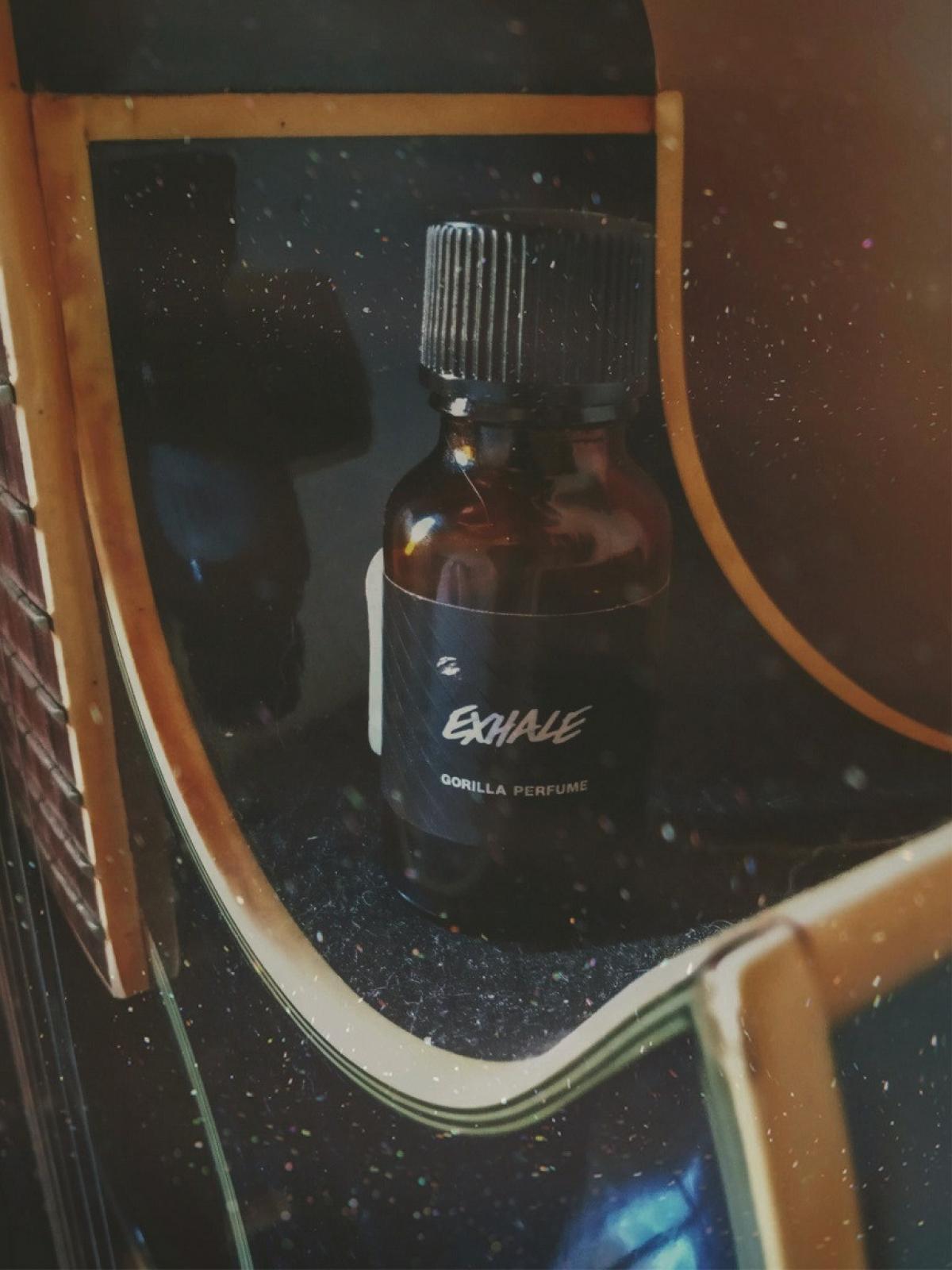 عطر ادکلن اکسیل لاش - Exhale Lush - بررسی، قیمت و خرید