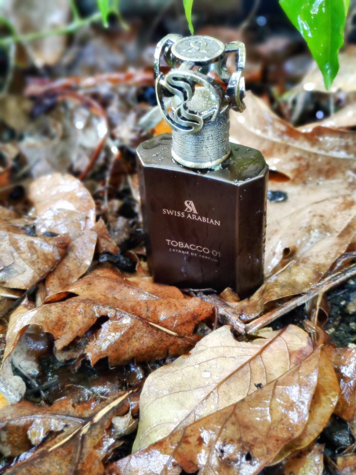 عطر ادکلن توباکو زیرو وان سوئیس آرابیان - Tobacco 01 Swiss Arabian - بررسی، قیمت و خرید