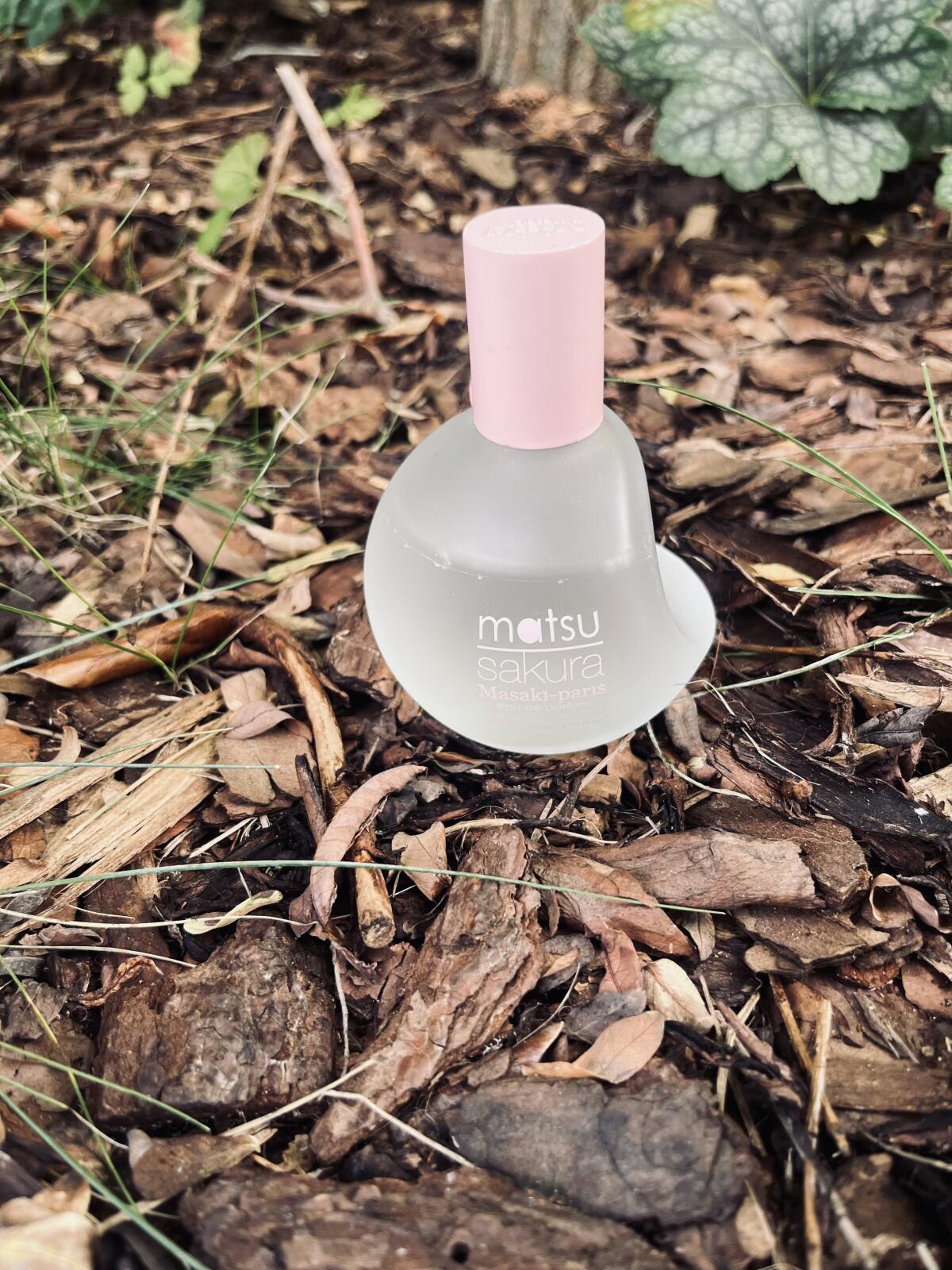 عطر ادکلن ماتسو ساکورا ماساکی ماتسوشیما - Matsu Sakura Masaki Matsushima - بررسی، قیمت و خرید