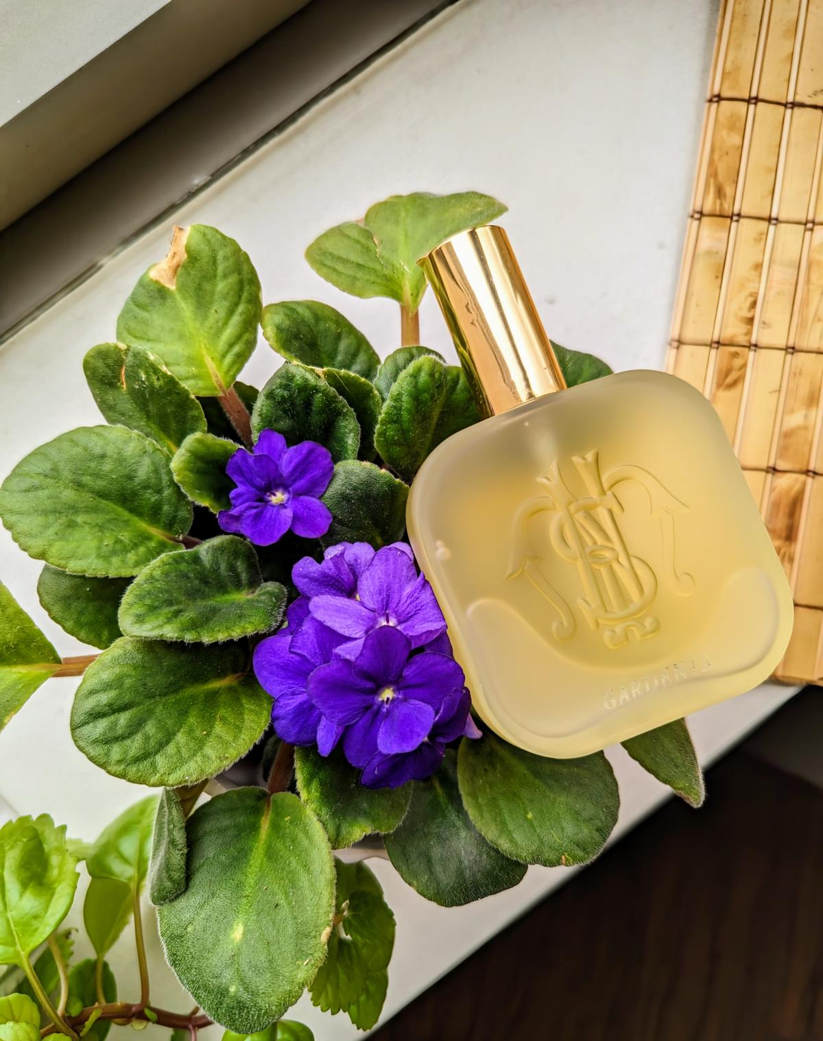 عطر ادکلن گاردنیا سانتا ماریا نوولا - Gardenia Santa Maria Novella - بررسی، قیمت و خرید