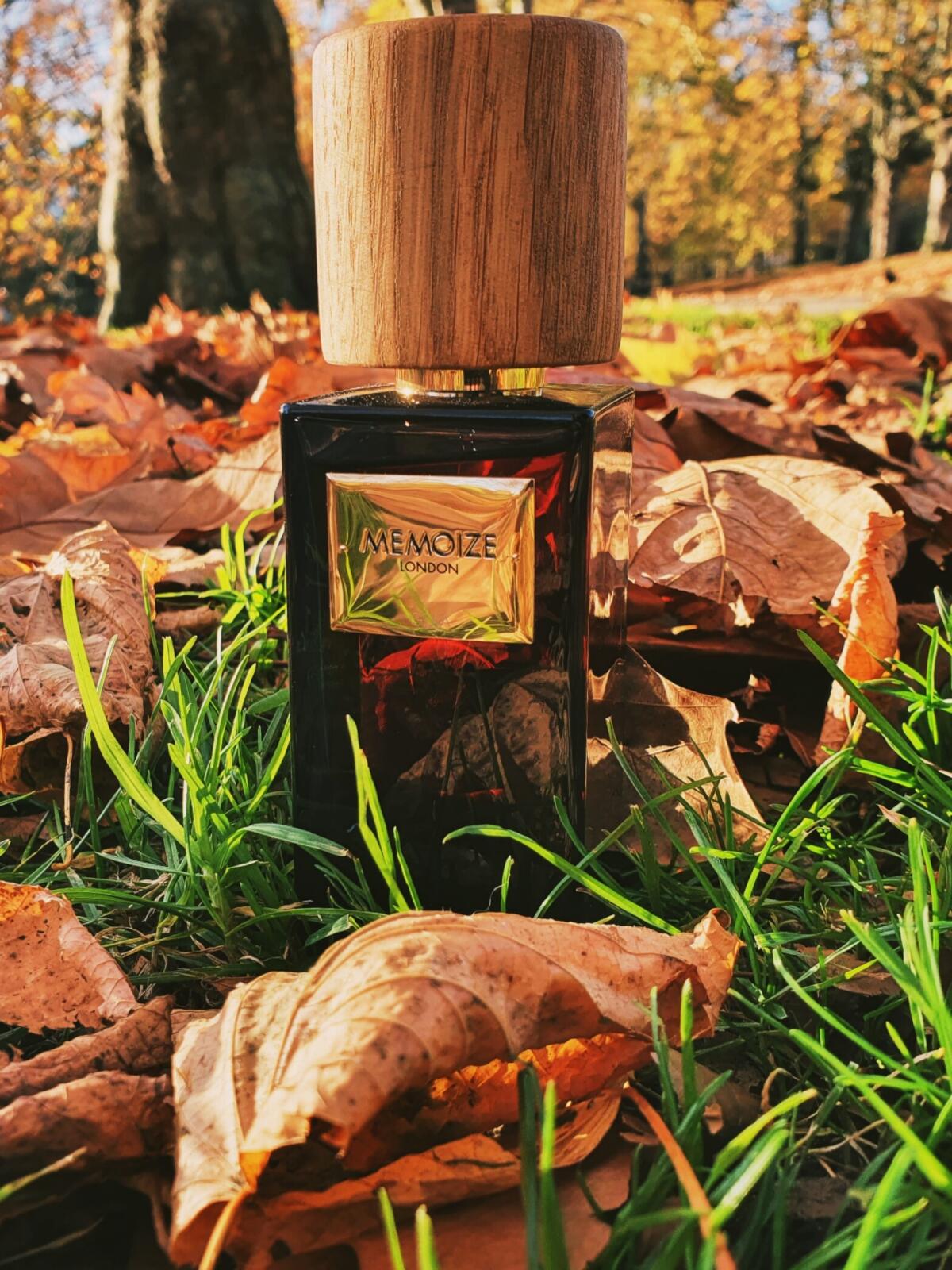 عطر ادکلن گولا مموایز لاندن - Gula Memoize London - بررسی، قیمت و خرید