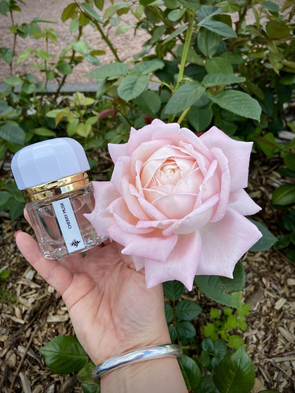 عطر ادکلن چری ماسک رامون مونه‌گال - Cherry Musk Ramon Monegal - بررسی، قیمت و خرید