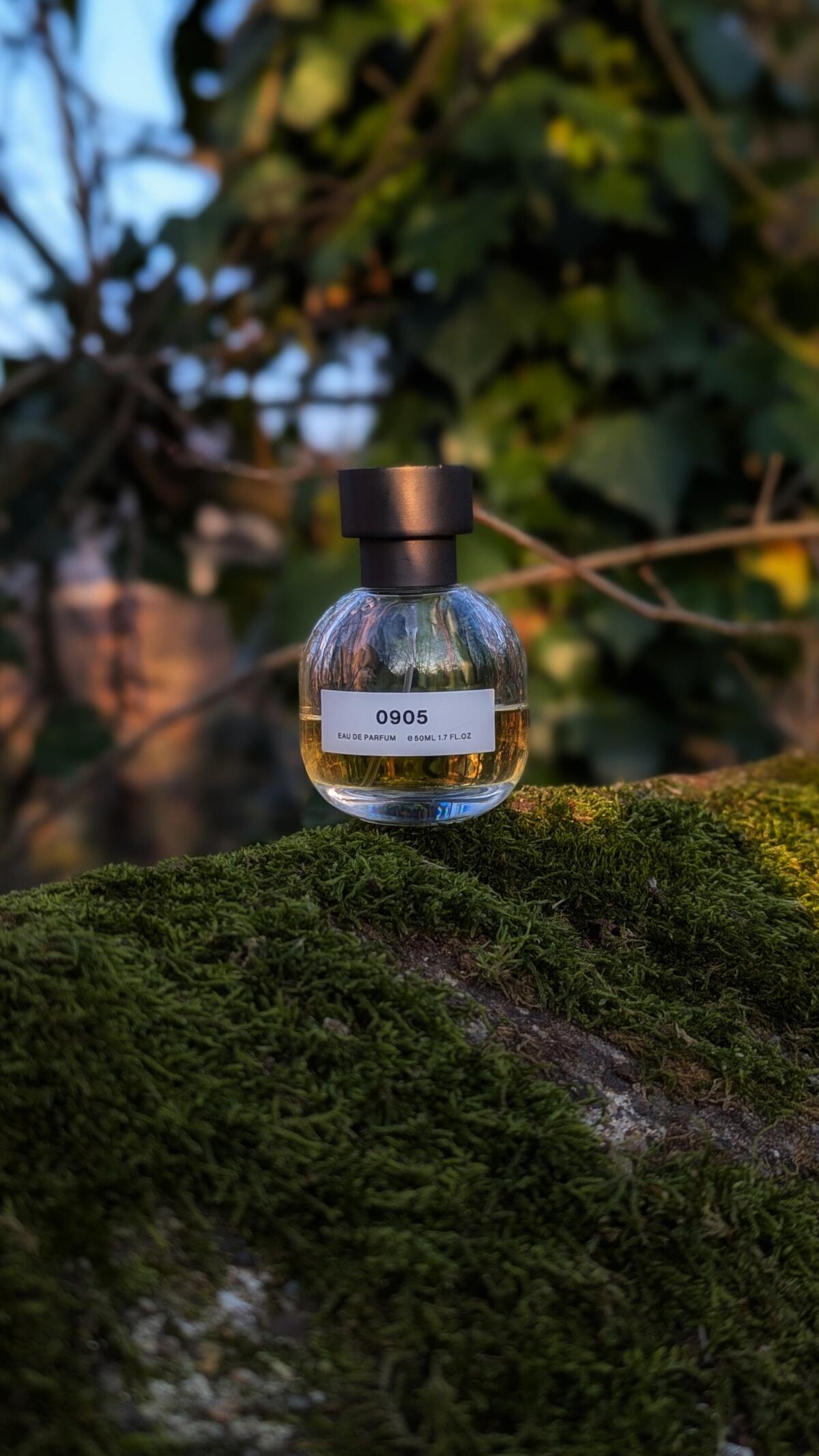 عطر ادکلن صفر نهصد و پنج سان ونین - 0905 Son Venïn - بررسی، قیمت و خرید
