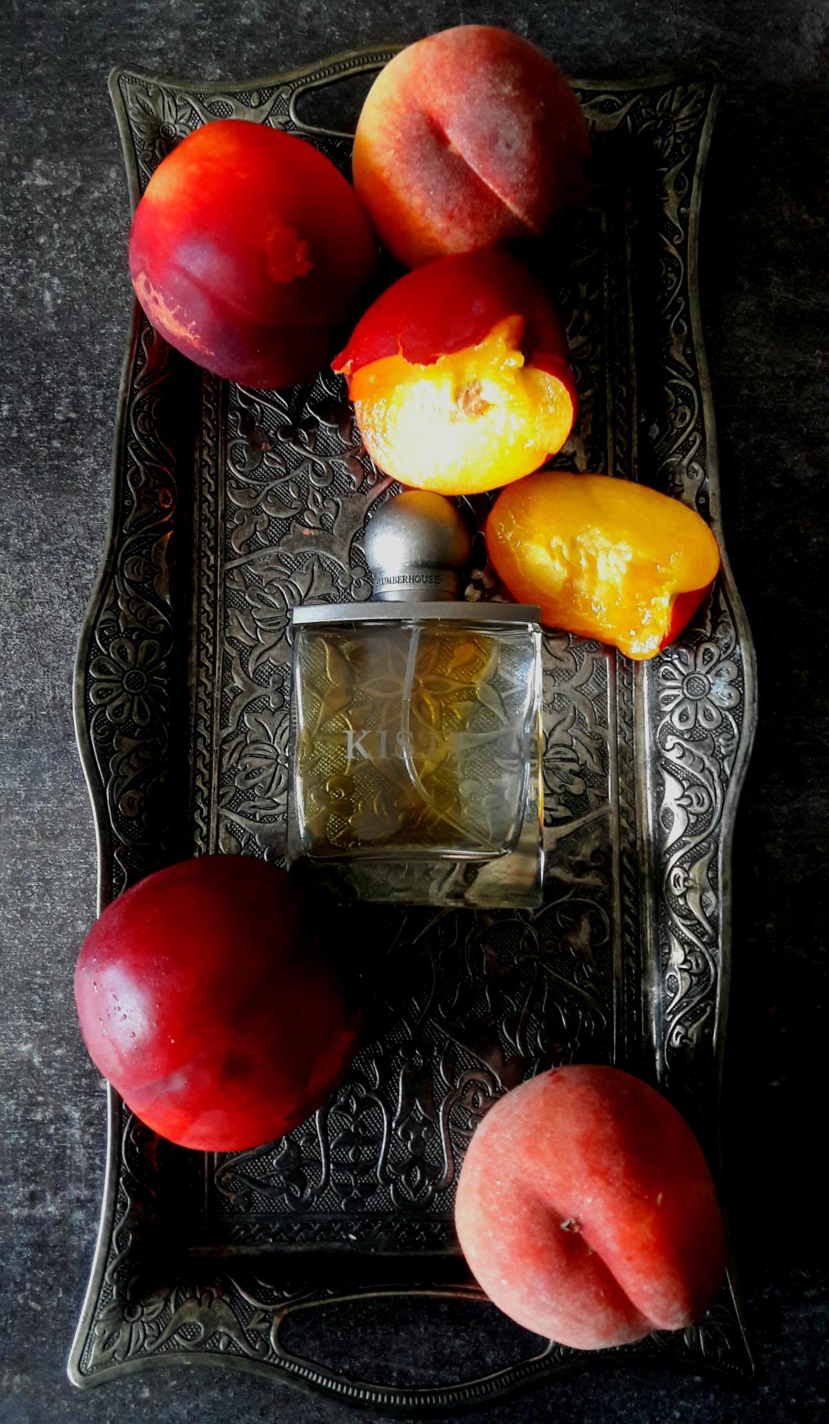 عطر ادکلن کیسته اسلمبرهوس - Kiste Slumberhouse - بررسی، قیمت و خرید