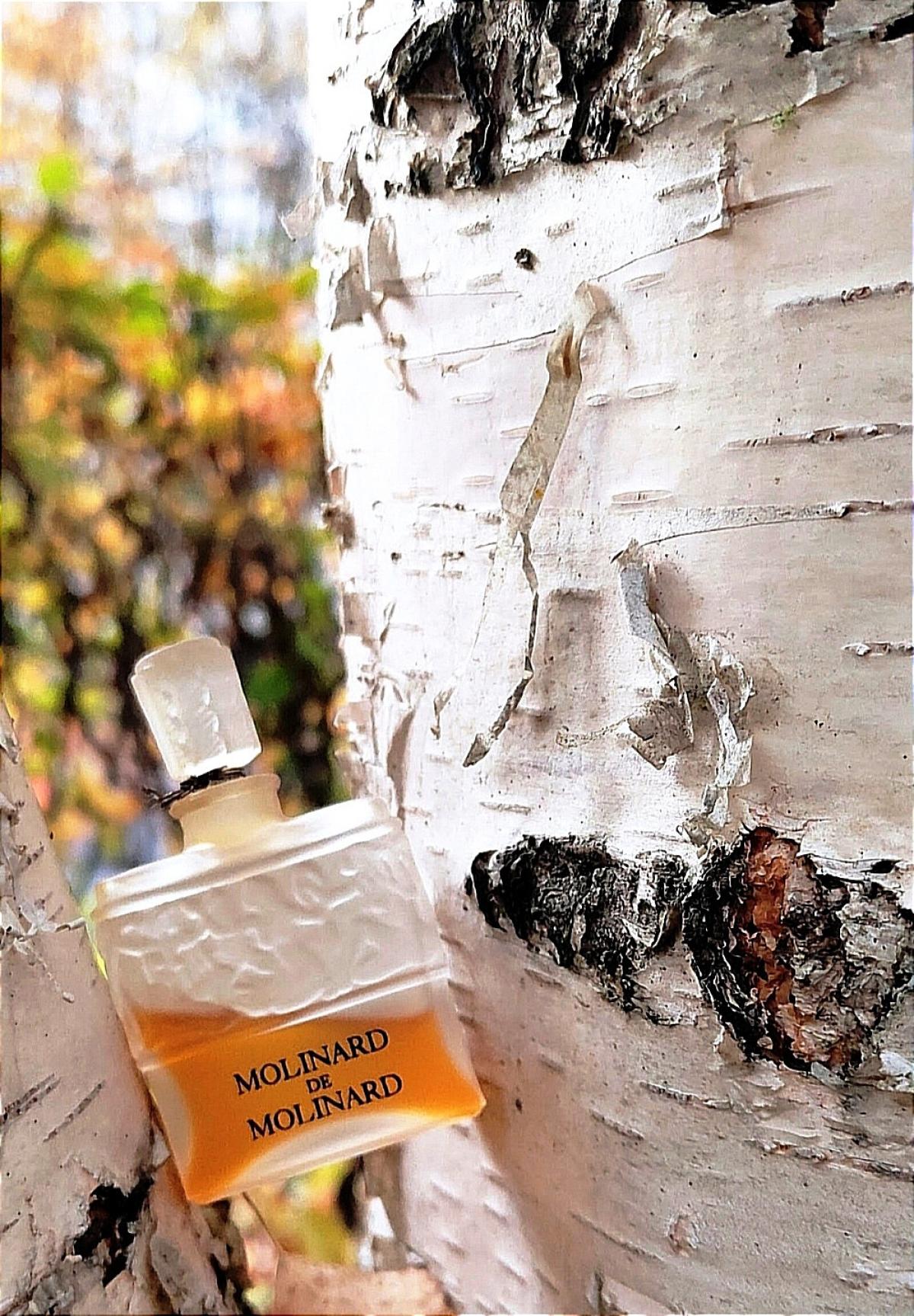 عطر ادکلن مولینارد دو مولینارد مولینارد - Molinard de Molinard Molinard - بررسی، قیمت و خرید