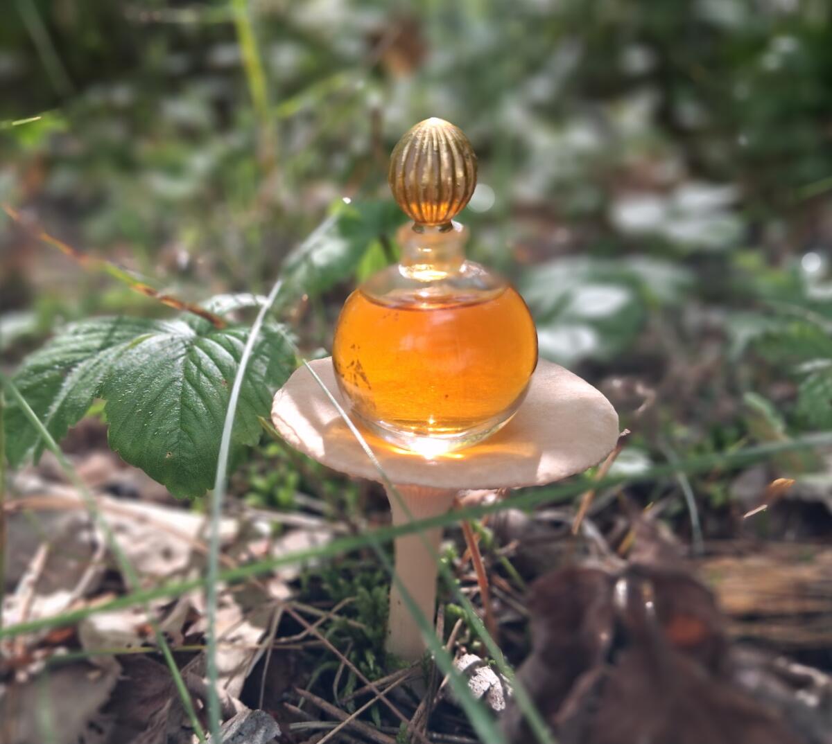 عطر ادکلن آرپژ لنوین - Arpège Lanvin - بررسی، قیمت و خرید