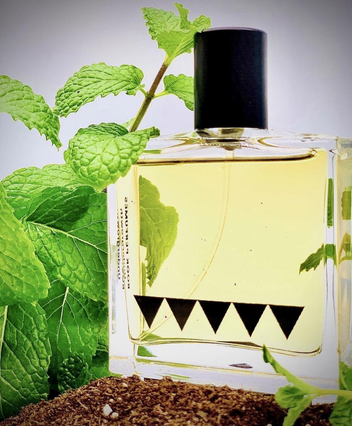 عطر ادکلن آندِرگروث توئن تی تو روک پرفیومز - Undergrowth 2020 Edition Rook Perfumes - بررسی، قیمت و خرید