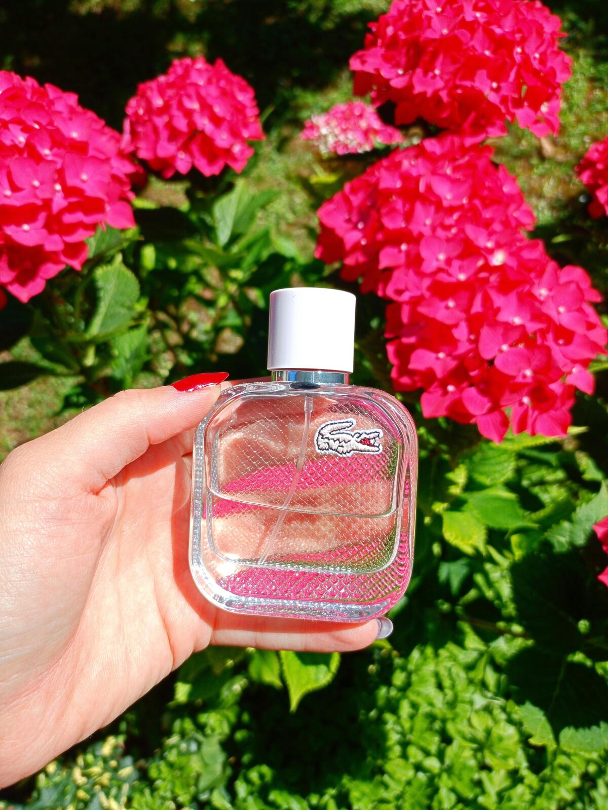 عطر ادکلن ال. دوازده. دوازده او دو تویلت رز او فرش فور هر لاکست فراگرنس - L.12.12 Eau de Toilette Rose Eau Fraiche For Her Lacoste Fragrances - بررسی، قیمت و خرید