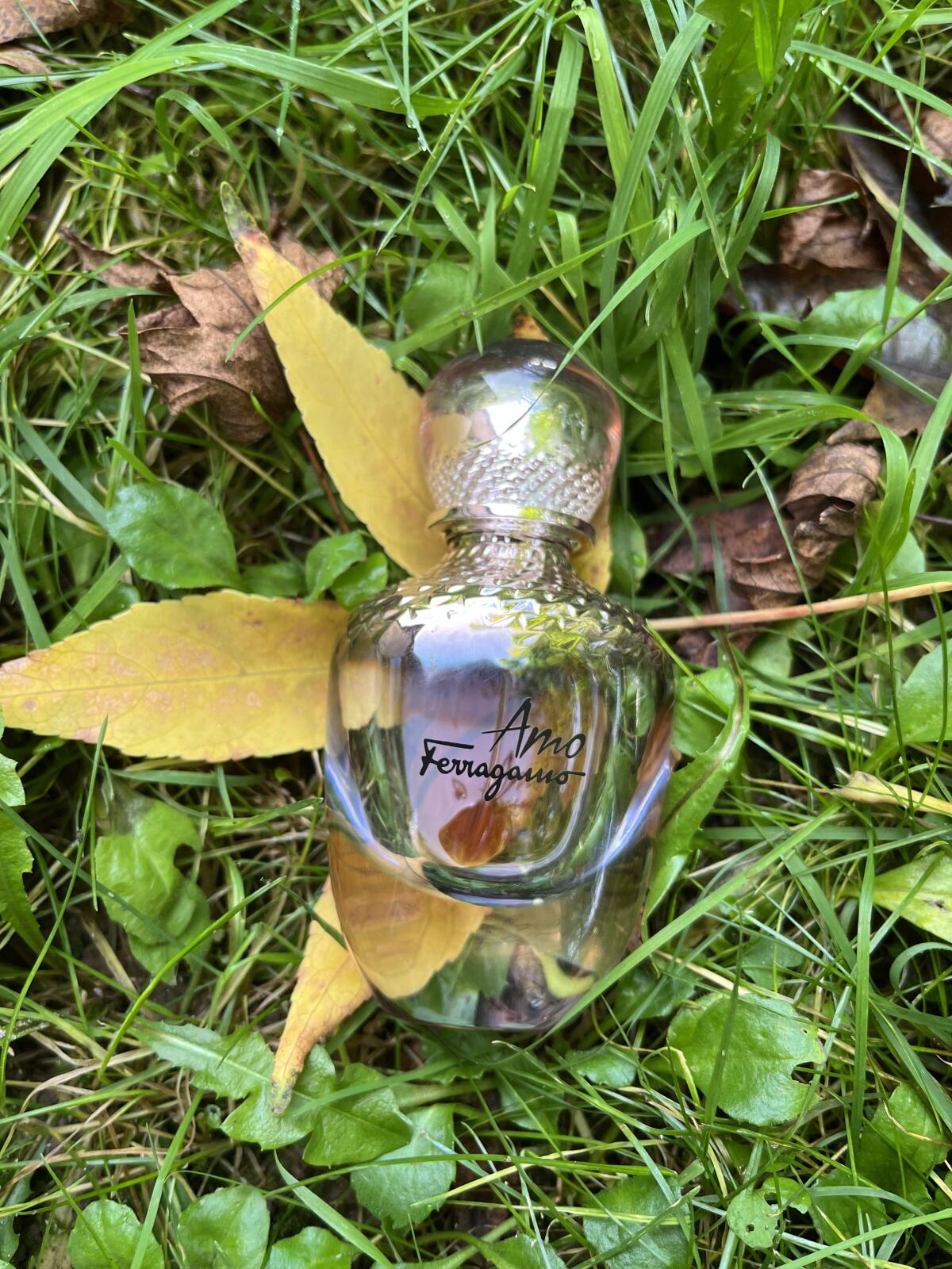 عطر ادکلن آمو فرگامو سالواتوره فراگامو - Amo Ferragamo Salvatore Ferragamo - بررسی، قیمت و خرید