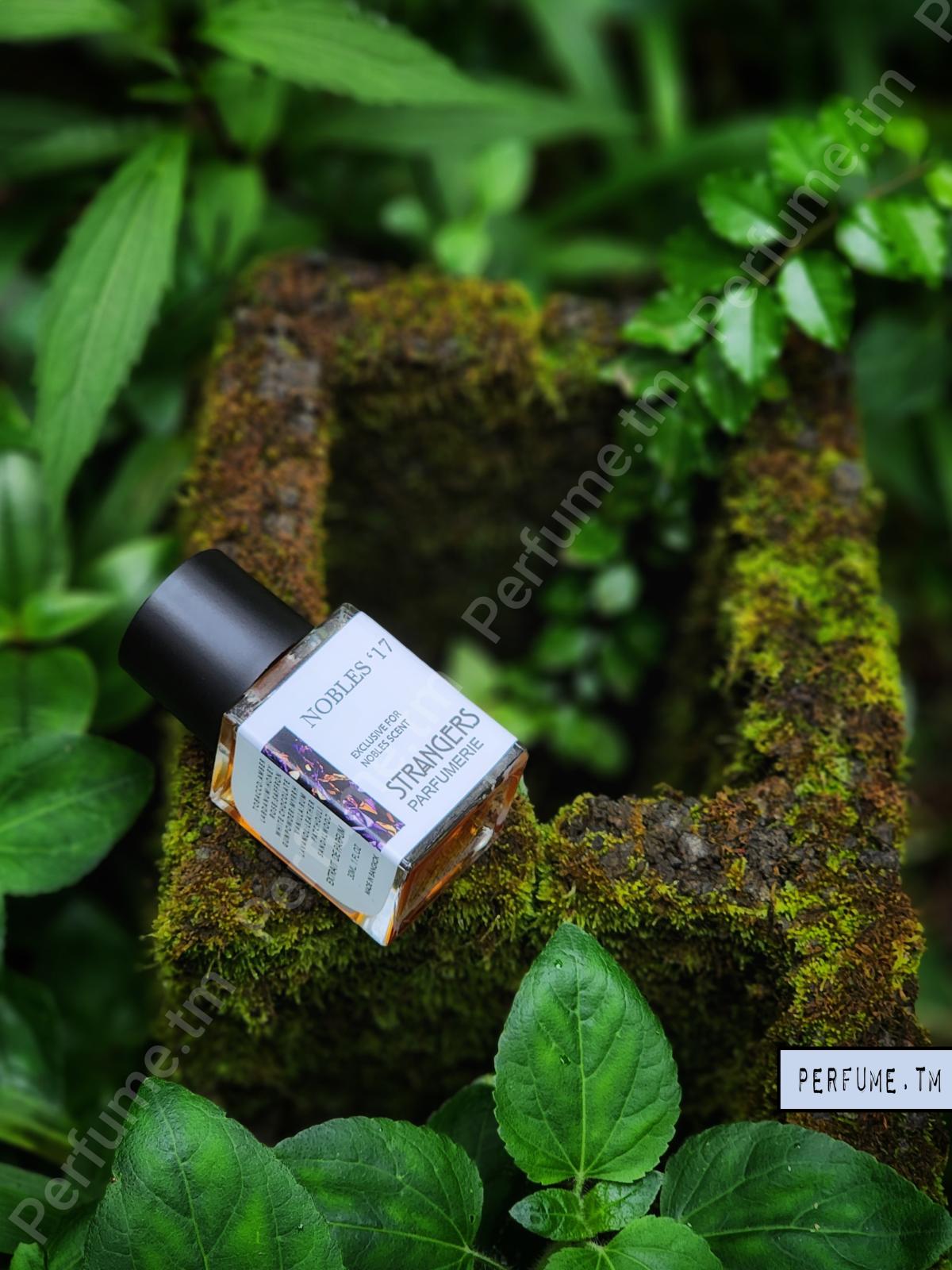 عطر ادکلن نوبلس سونزده استرنجرز پرفیومری - Nobles'17 Strangers Parfumerie - بررسی، قیمت و خرید
