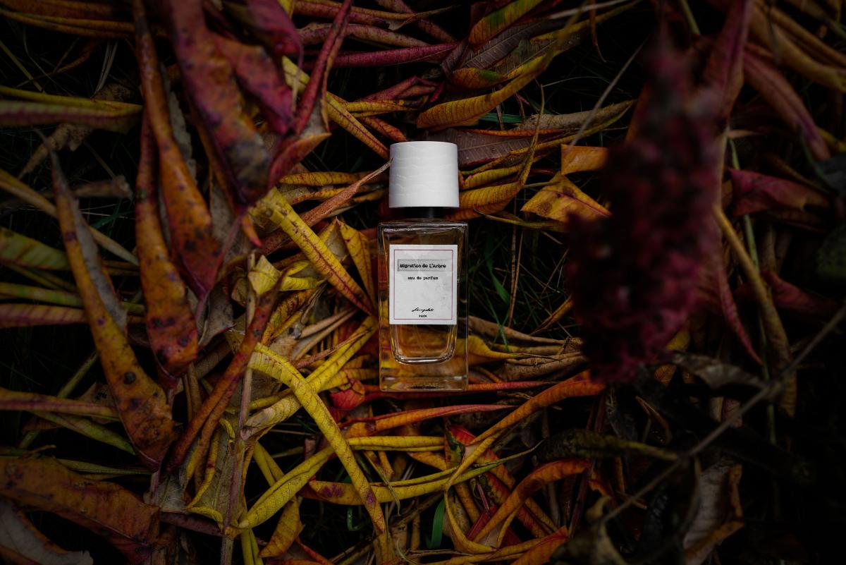 عطر ادکلن مایگریشن د لرب سنیوکو - Migration de L'Arbre Senyokô - بررسی، قیمت و خرید