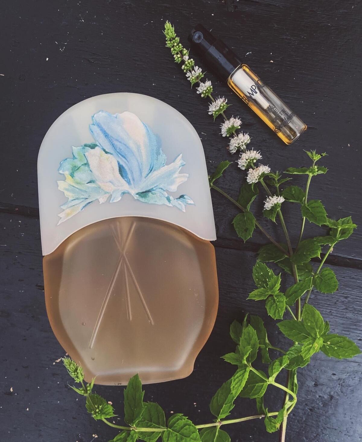 عطر ادکلن لژردن مکس فَکتور - Le Jardin Max Factor - بررسی، قیمت و خرید