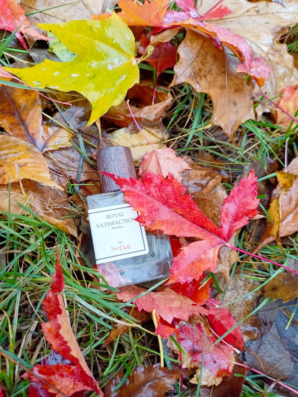 عطر ادکلن رویال ستیسفکشن سویدافت - Royal Satisfaction SweDoft - بررسی، قیمت و خرید