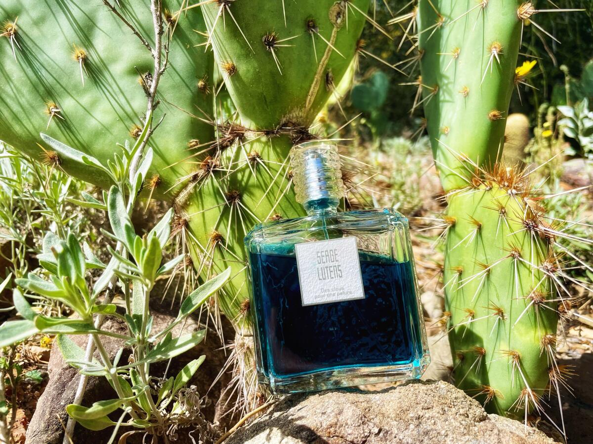 عطر ادکلن دکلوس پور اون پوغلو سرژ لوتنز - Des Clous Pour Une Pelure Serge Lutens - بررسی، قیمت و خرید