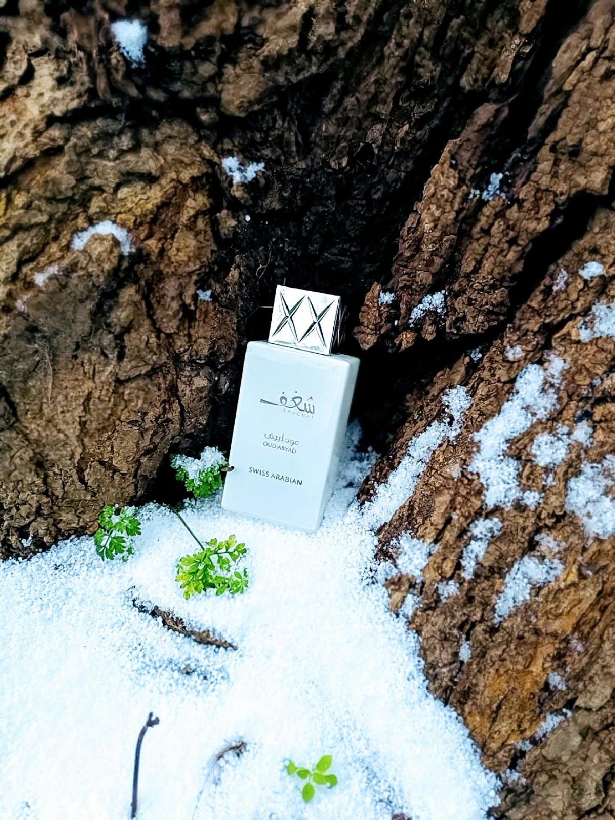 عطر ادکلن شغف عود ابیض سوئیس عربین - Shaghaf Oud Abyad Swiss Arabian - بررسی، قیمت و خرید