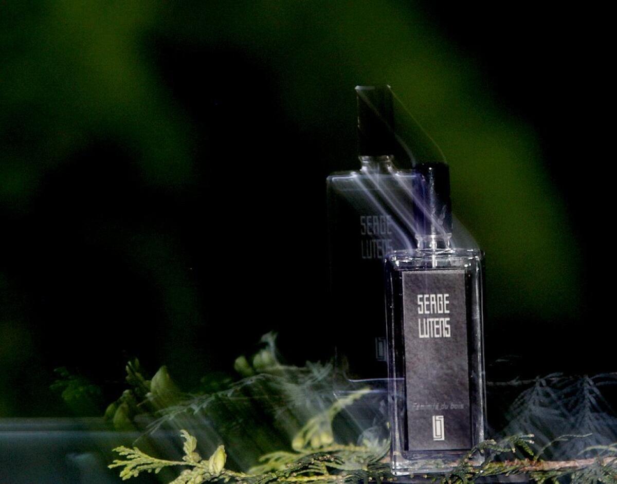 عطر ادکلن فمینیت دو بوا سرژ لوتنس - Feminité du Bois Serge Lutens - بررسی، قیمت و خرید