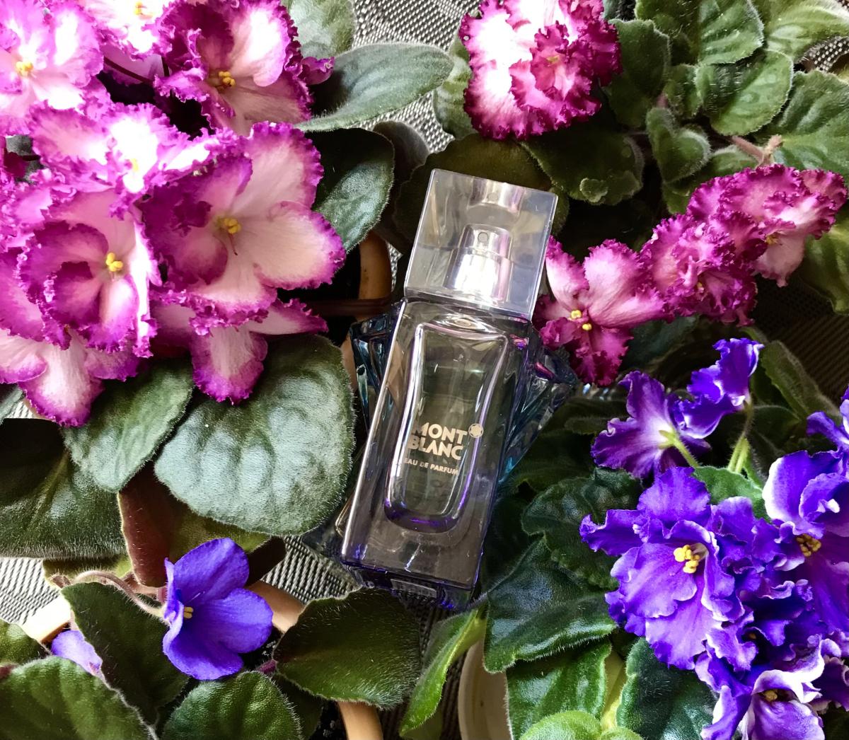 عطر ادکلن فم دو مونت بلانک مون بلان - Femme de Montblanc Montblanc - بررسی، قیمت و خرید