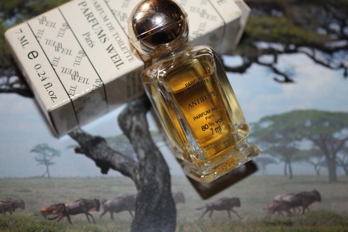 عطر ادکلن آنتیلوپ ویل - Antilope Weil - بررسی، قیمت و خرید