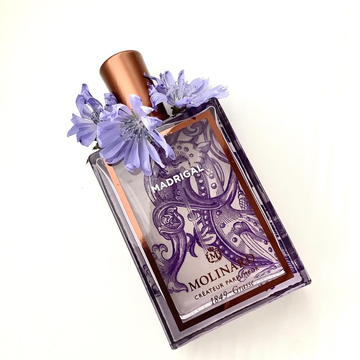 عطر ادکلن مدریگال مولینارد - Madrigal Molinard - بررسی، قیمت و خرید