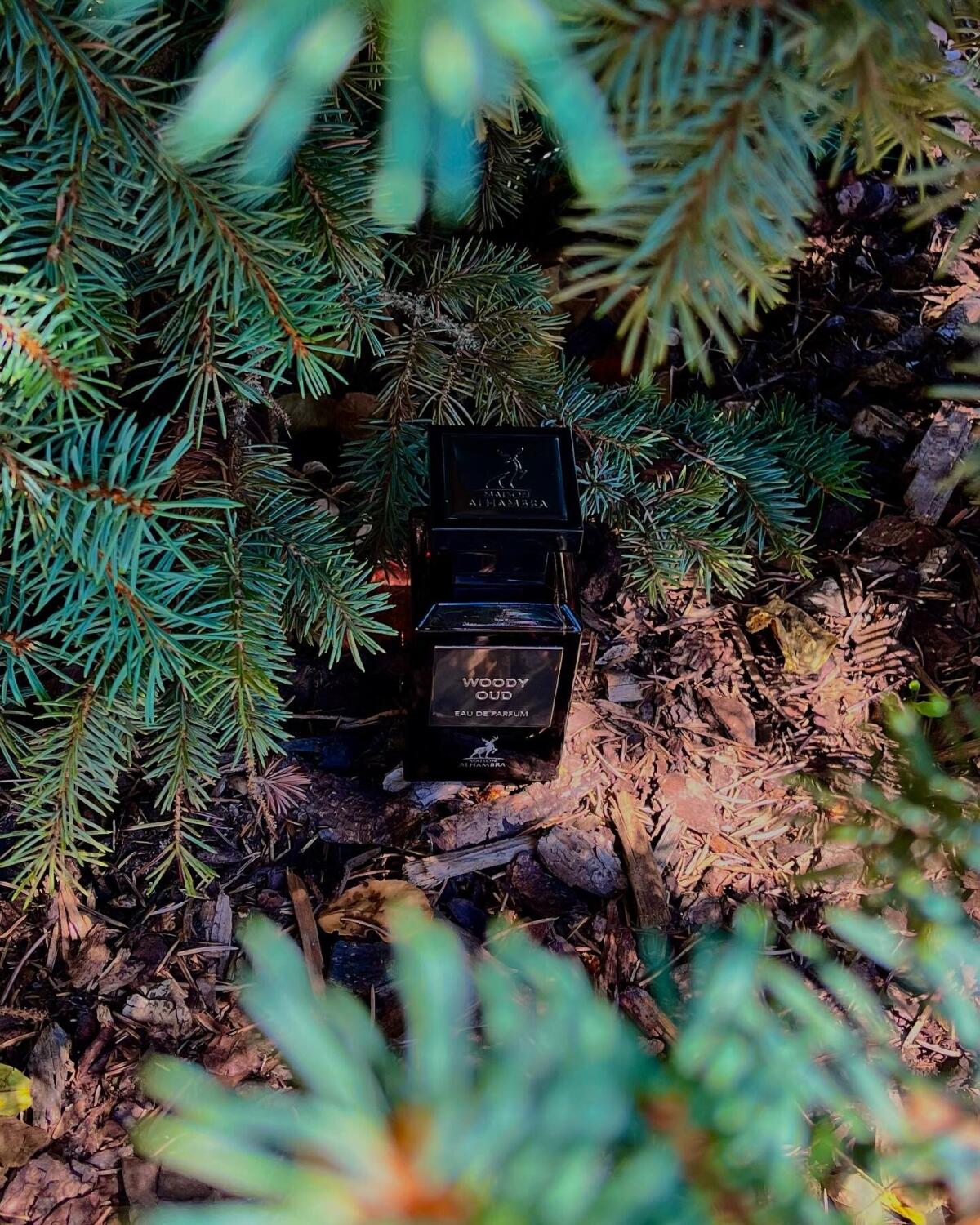 عطر ادکلن اودی عود میسون الهامبرا - Woody Oud Maison Alhambra - بررسی، قیمت و خرید