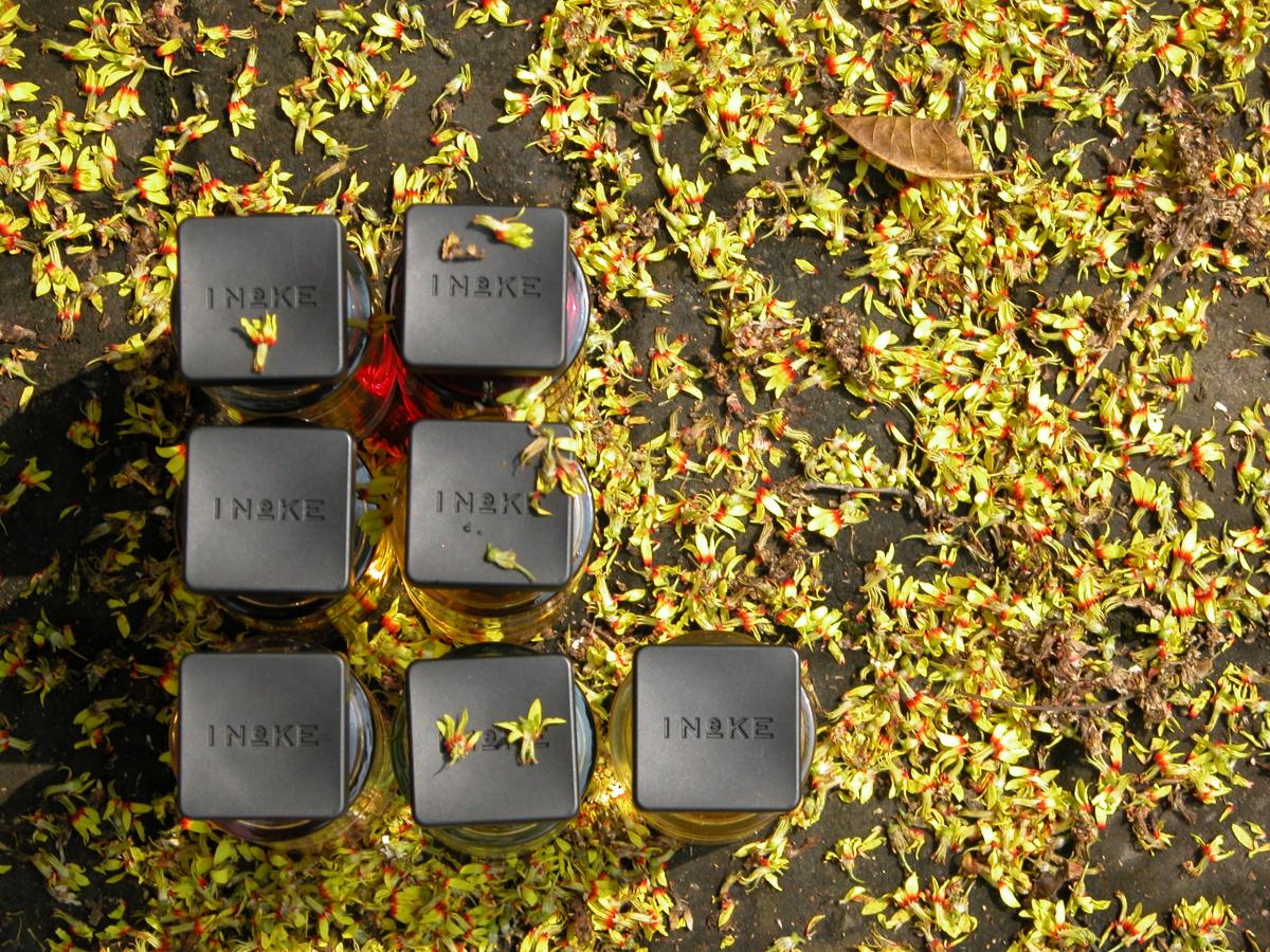 عطر ادکلن ایونینگ اِجد اِن گُلد آینکه - Evening Edged In Gold Ineke - بررسی، قیمت و خرید