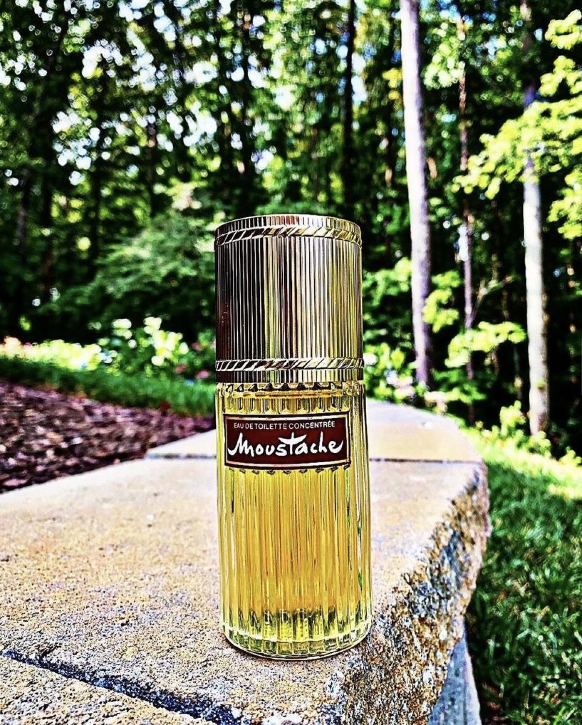 عطر ادکلن موستاش او دو تویلت کنسانتره روچاس - Moustache Eau de Toilette Concentree Rochas - بررسی، قیمت و خرید