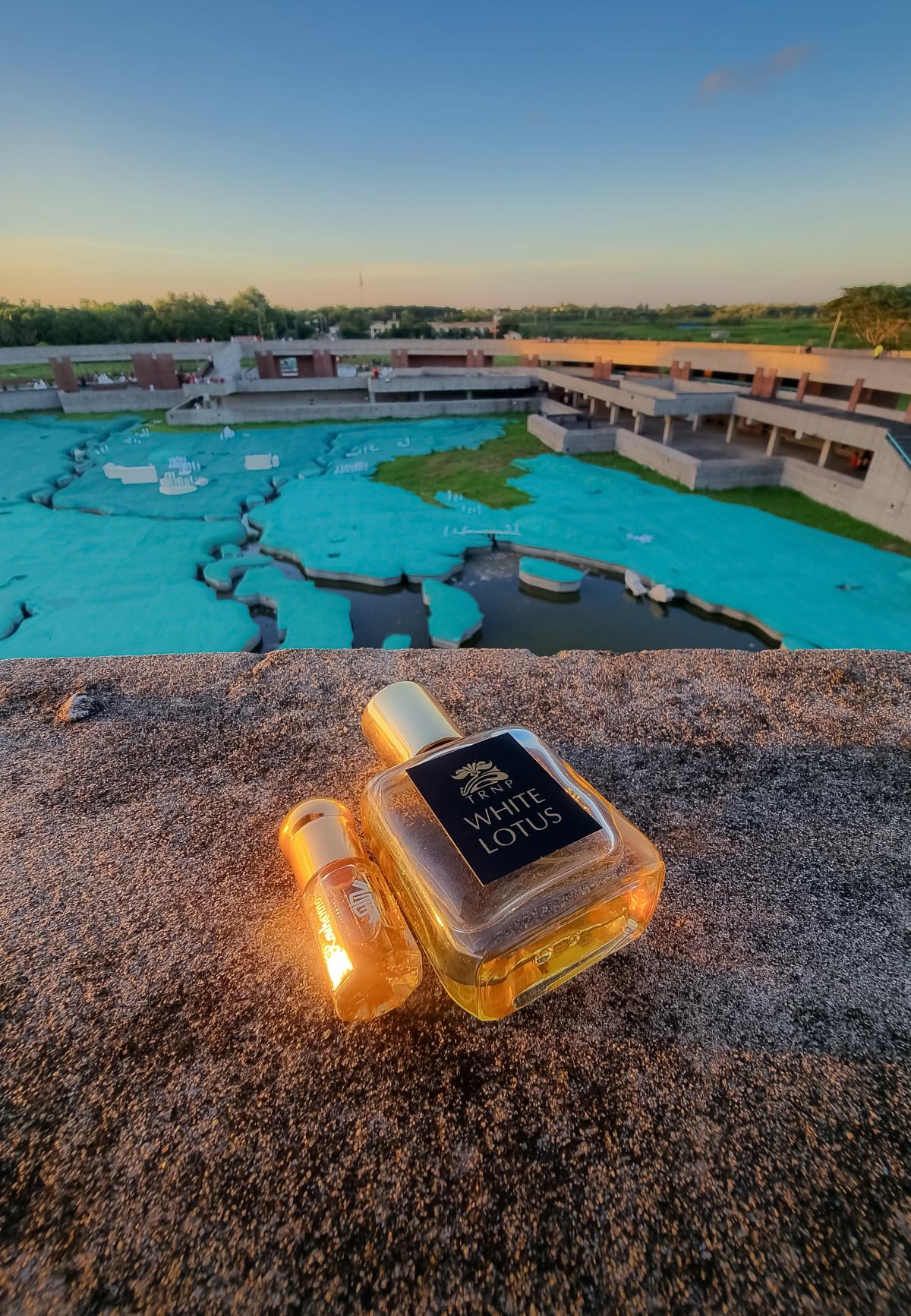 عطر ادکلن وایت لوتوس ترانپ - White Lotus TRNP - بررسی، قیمت و خرید