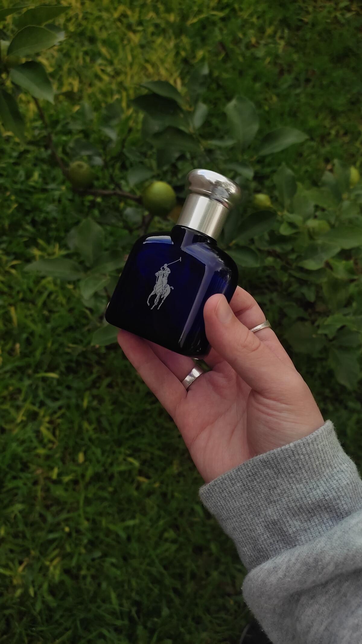 عطر ادکلن پولو بلو رالف لورن - Polo Blue Ralph Lauren - بررسی، قیمت و خرید