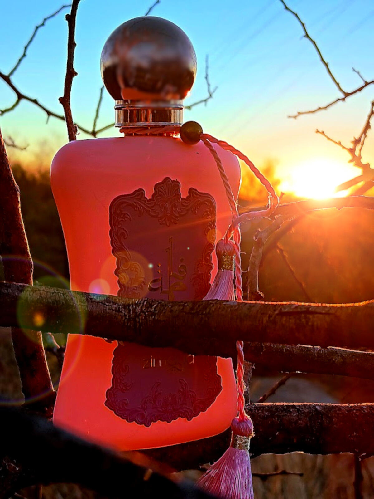 عطر ادکلن فاطیما پینک زیما - Fatima Pink Zimaya - بررسی، قیمت و خرید