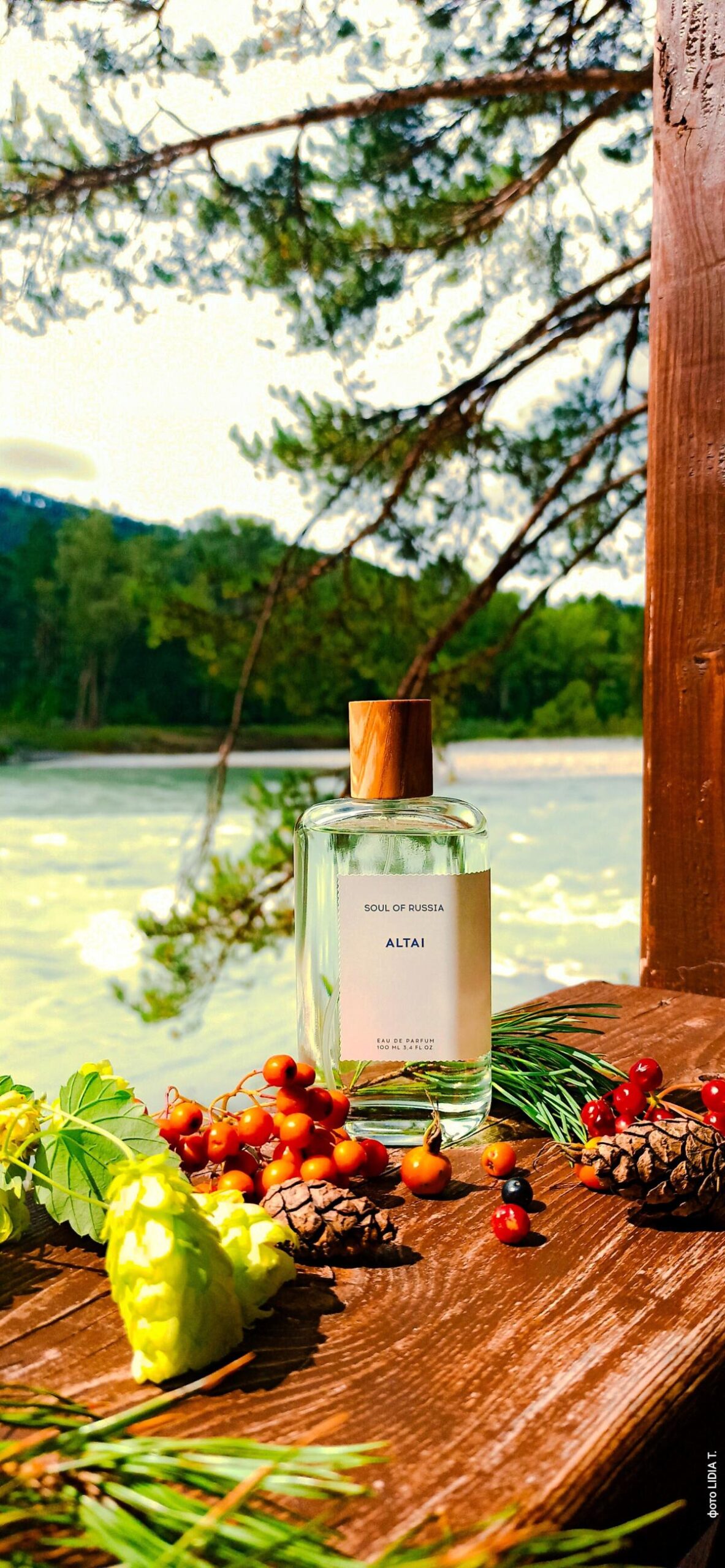 عطر ادکلن آلتای سول آو راشا - Altai Soul of Russia - بررسی، قیمت و خرید