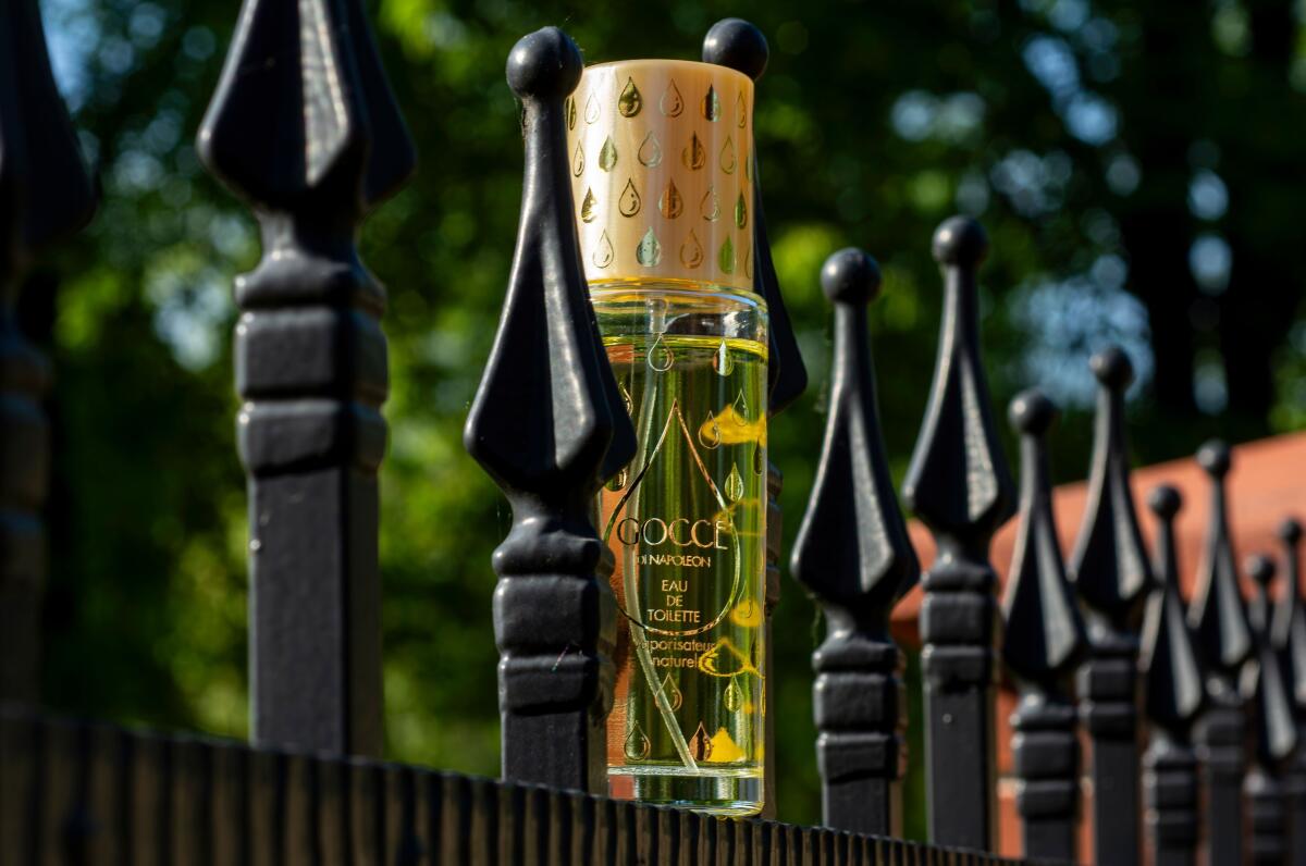 عطر ادکلن گوچه دی ناپلئون موریس - Gocce di Napoleon Morris - بررسی، قیمت و خرید