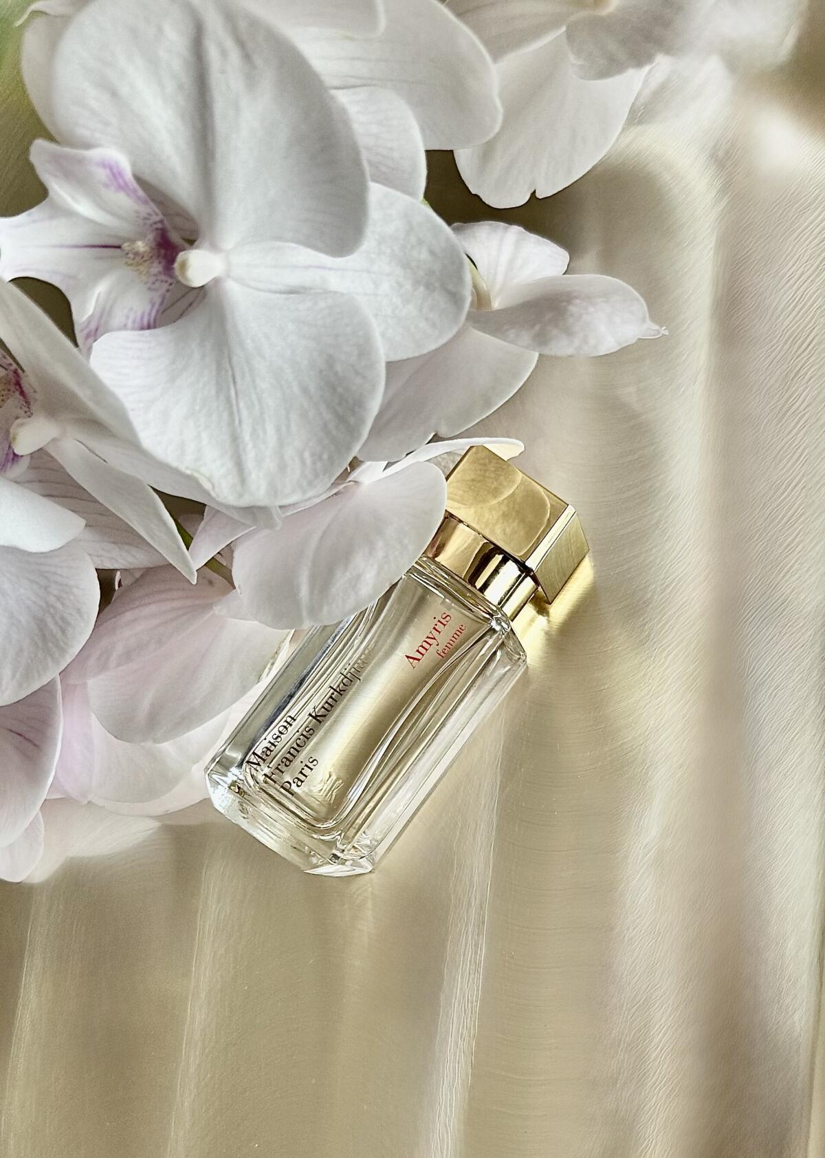 عطر ادکلن اِیمیریس فِم مِیزان فرانسیس کوردیجان - Amyris Femme Maison Francis Kurkdjian - بررسی، قیمت و خرید