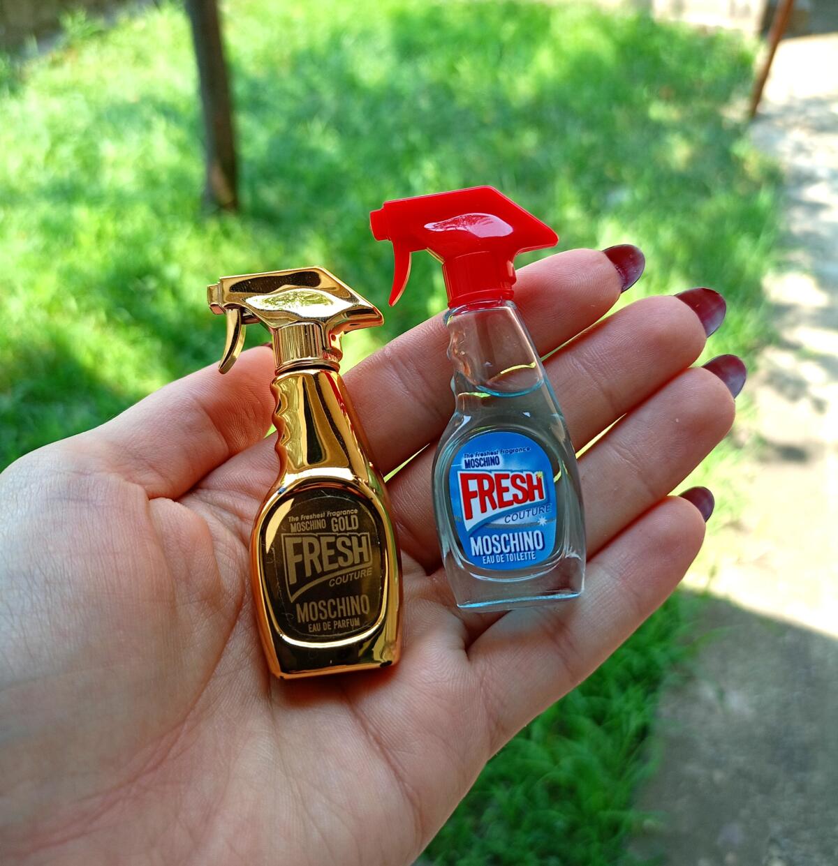 عطر ادکلن فِرِش کوتور موشینو - Fresh Couture Moschino - بررسی، قیمت و خرید