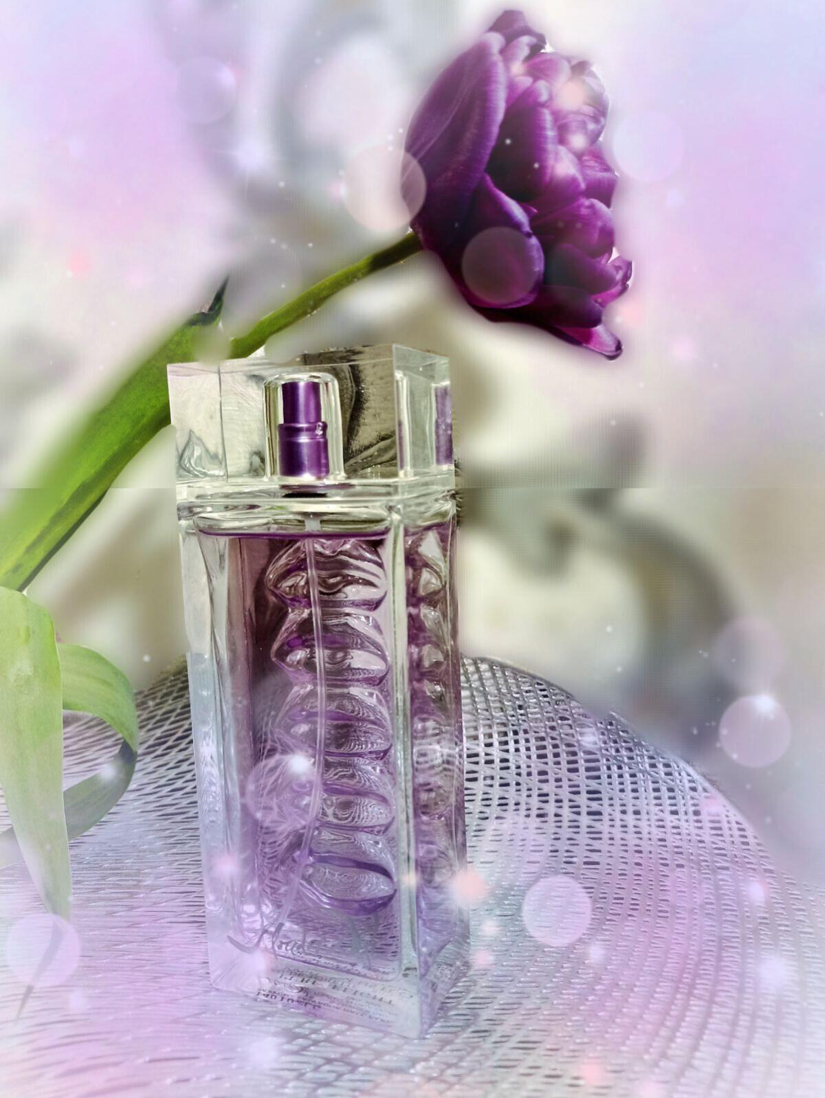 عطر ادکلن پرپل لایت سالوادور دالی - Purplelight Salvador Dali - بررسی، قیمت و خرید