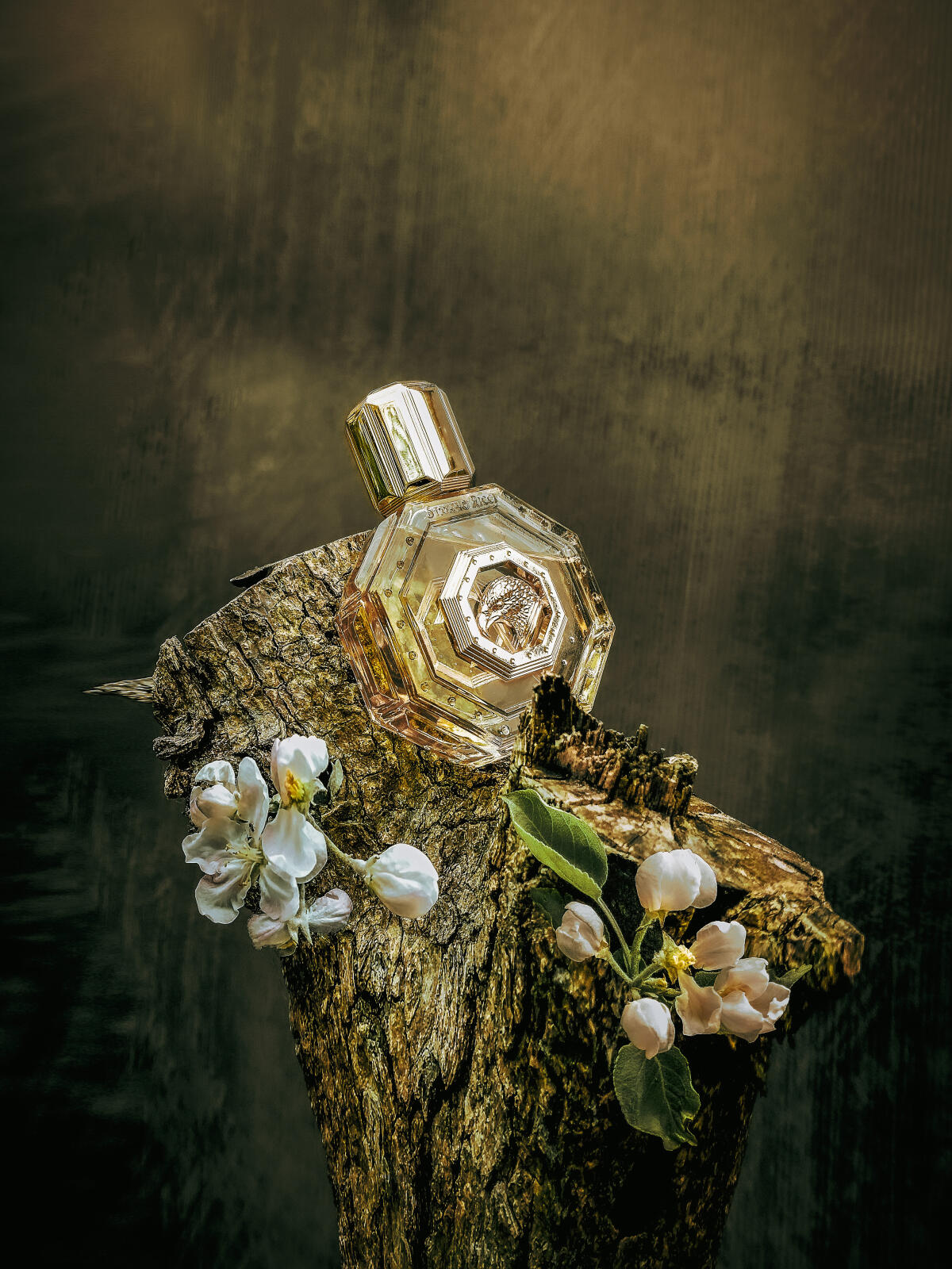 عطر ادکلن رویال ایگل گلد استفانو ریچی - Royal Eagle Gold Stefano Ricci - بررسی، قیمت و خرید