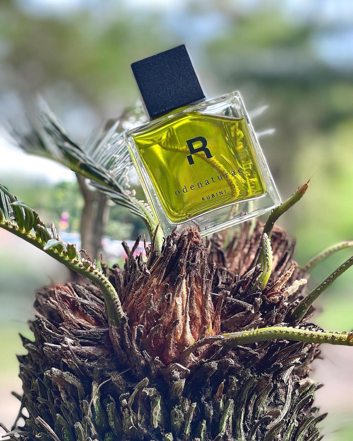 عطر ادکلن اودناتور روبینی - Odenaturae Rubini - بررسی، قیمت و خرید