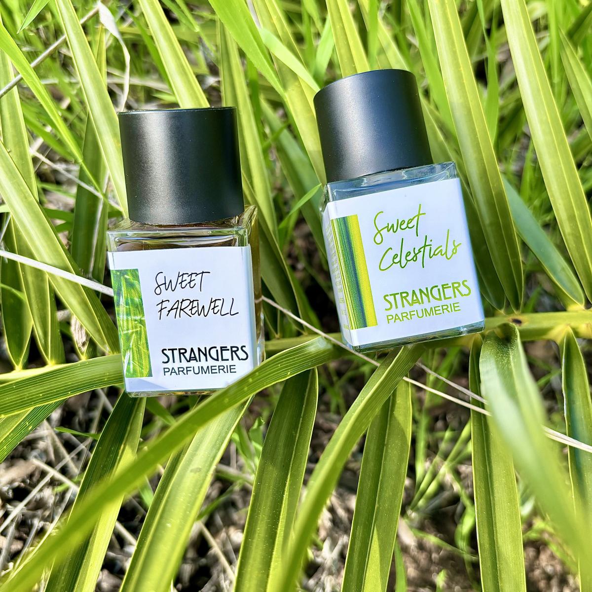 عطر ادکلن سوییت فِروِل استرنجرز پرفیومری - Sweet Farewell Strangers Parfumerie - بررسی، قیمت و خرید