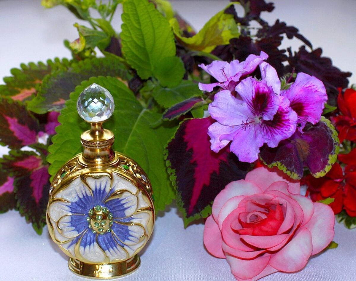 عطر ادکلن لایالی سوییس عربین - Layali Swiss Arabian - بررسی، قیمت و خرید