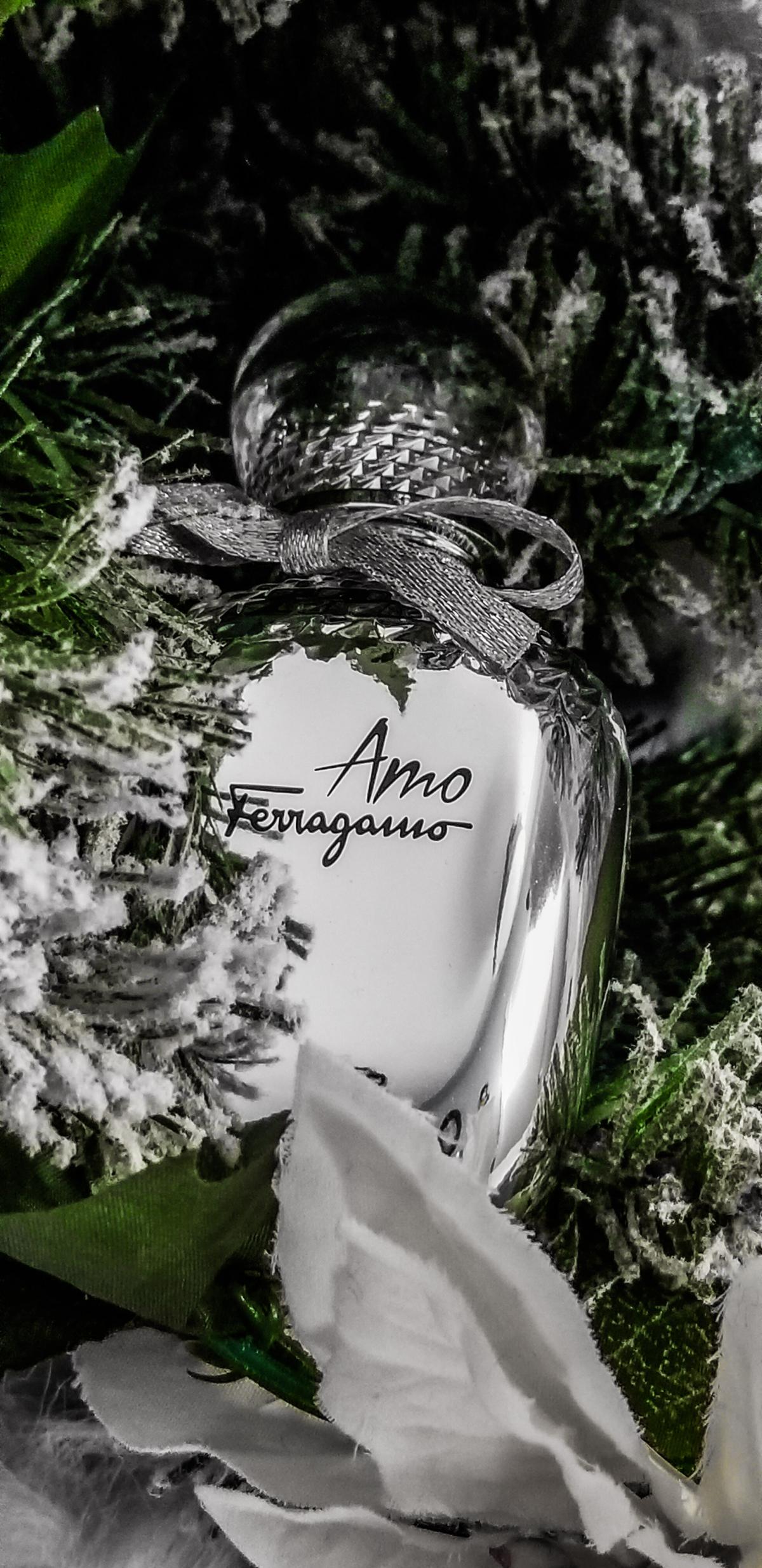 عطر ادکلن آمو فرگامو هالیدی ادیشن دو هزار و نوزده سالواتوره فراگامو - Amo Ferragamo Holiday Edition 2019 Salvatore Ferragamo - بررسی، قیمت و خرید