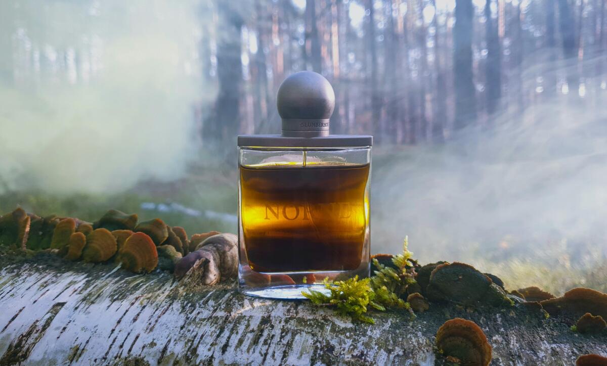 عطر ادکلن نورنه اسلمبرهاوس - Norne Slumberhouse - بررسی، قیمت و خرید