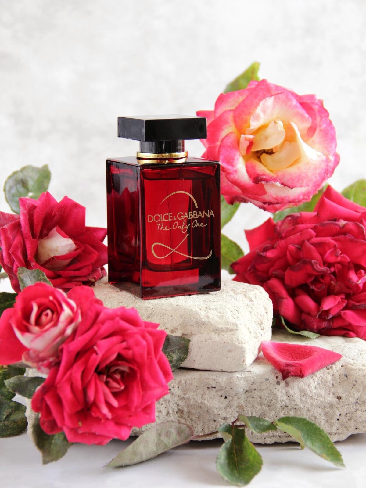 عطر ادکلن دولچه اند گابانا دِ اونی وان دو دولچه اند گابانا - Dolce&Gabbana The Only One 2 Dolce&Gabbana - بررسی، قیمت و خرید