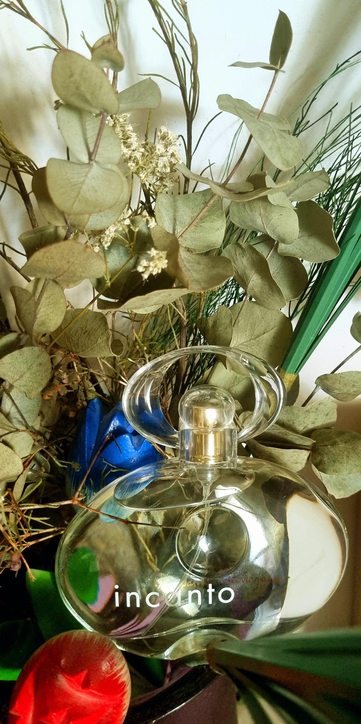 عطر ادکلن اینکنتو سالواتوره فراگامو - Incanto Salvatore Ferragamo - بررسی، قیمت و خرید