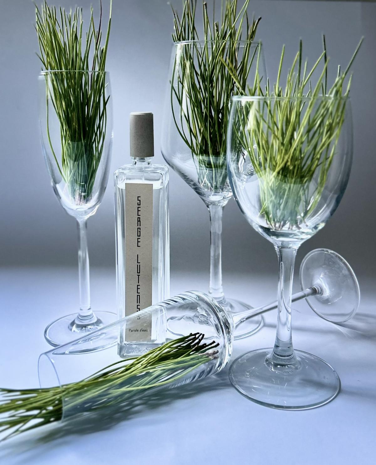 عطر ادکلن پَرُل دو سرژ لوتنز - Parole d'Eau Serge Lutens - بررسی، قیمت و خرید