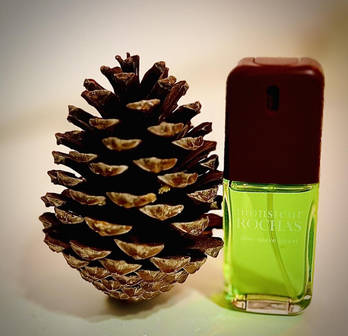 عطر ادکلن موسیو روشاس او دو تویلت روچاس - Monsieur Rochas Eau de Toilette Rochas - بررسی، قیمت و خرید