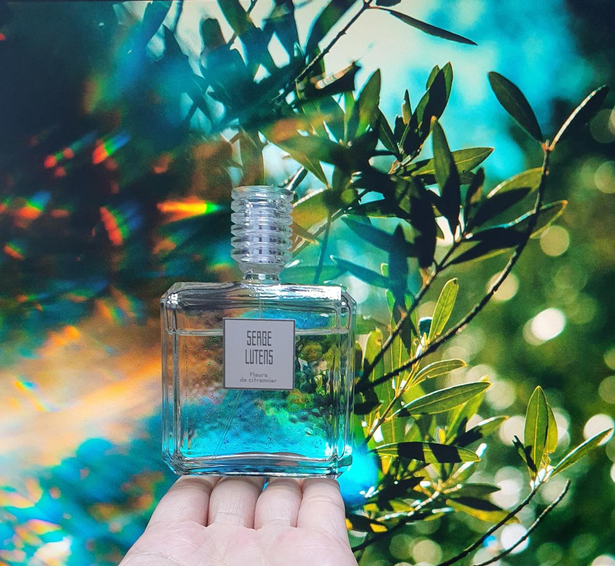 عطر ادکلن فلور د سیترونیه سرج لوتنز - Fleurs de Citronnier Serge Lutens - بررسی، قیمت و خرید