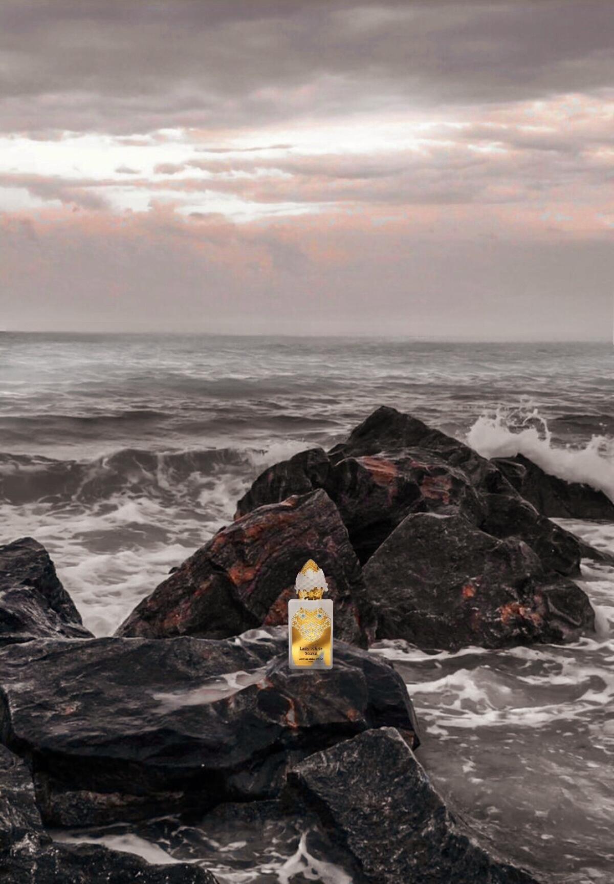 عطر ادکلن لیدی وایت اسنیک استفان هامبرت لوکاس ۷۷۷ - Lady White Snake Stéphane Humbert Lucas 777 - بررسی، قیمت و خرید