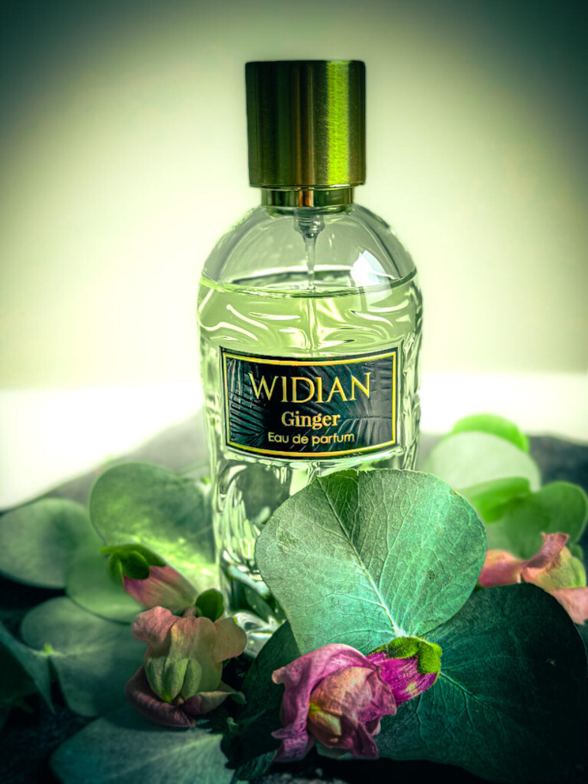 عطر ادکلن رز عربیا جینجر ویدیان - Rose Arabia Ginger WIDIAN - بررسی، قیمت و خرید